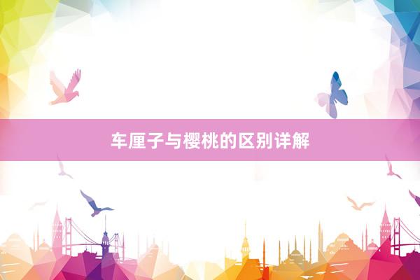 车厘子与樱桃的区别详解