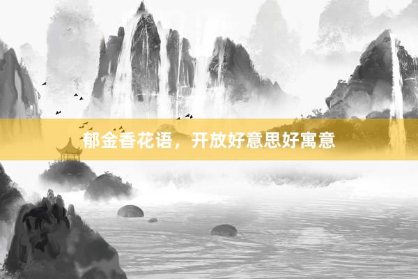 郁金香花语,开放好意思好寓意