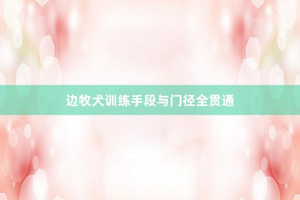 边牧犬训练手段与门径全贯通