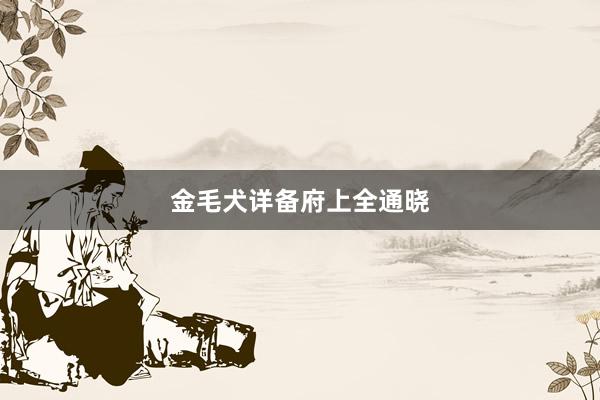 金毛犬详备府上全通晓